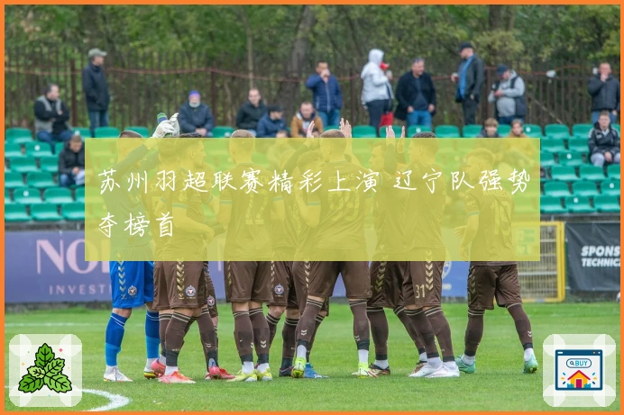 苏州羽超联赛精彩上演 辽宁队强势夺榜首