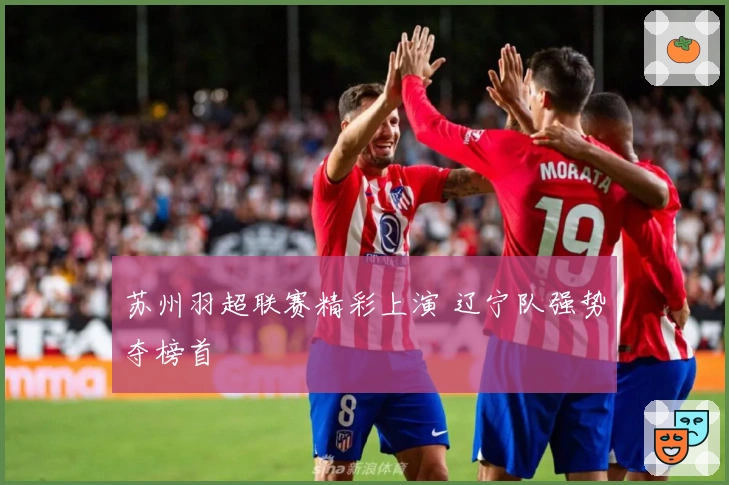 苏州羽超联赛精彩上演 辽宁队强势夺榜首